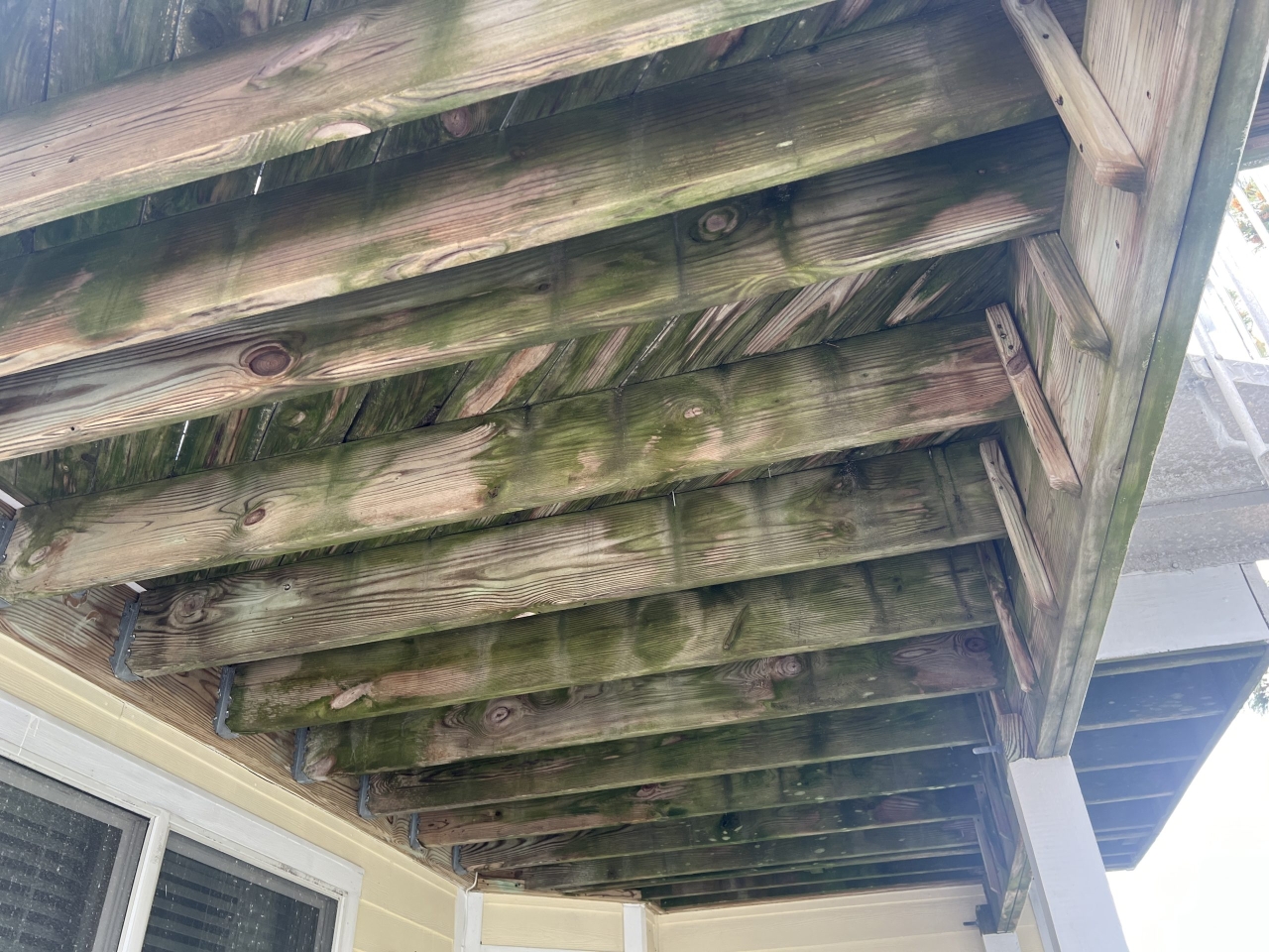 Before — Project 5